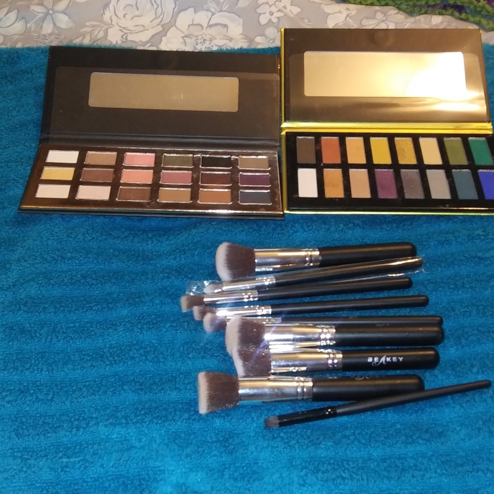 2 makeup pallets and brush set makeup